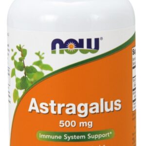Astragalus, 500mg - 100 caps