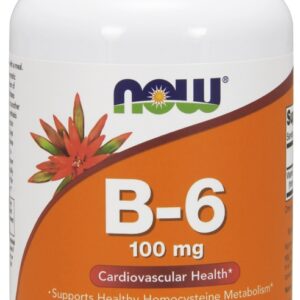 Vitamin B-6, 100mg - 250 caps