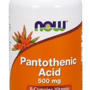 Pantothenic Acid, 500mg - 100 caps
