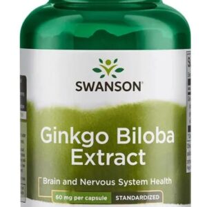 Ginkgo Biloba Extract, 60mg - 240 caps