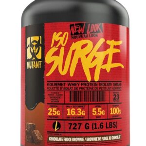 Iso Surge, Chocolate Fudge Brownie - 727g 