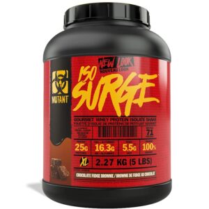 Iso Surge, Chocolate Fudge Brownie - 2270g 