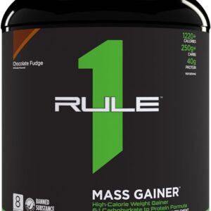 Mass Gainer, Chocolate Fudge - 2600g