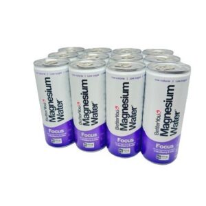 Magnesium Water Focus, Blueberry & Mint - 12 x 250 ml.