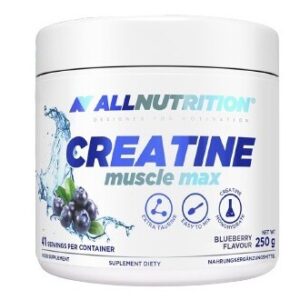 Creatine Muscle Max, Blueberry - 250g
