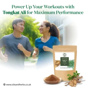 Tongkat Ali Extract Powder  100% Natural