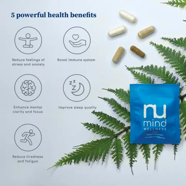 All-in-One Stress Support Supplement - Image 6